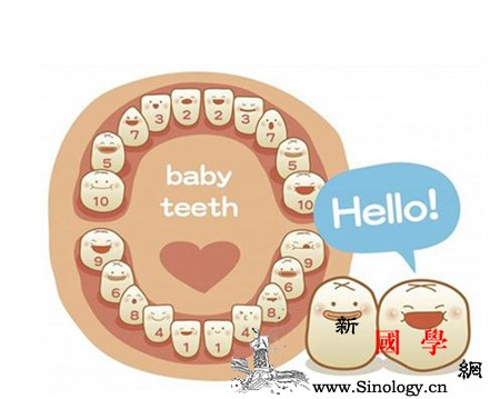 宝宝乳牙有多少颗22颗正常吗_长牙-长出-乳牙-磨牙-