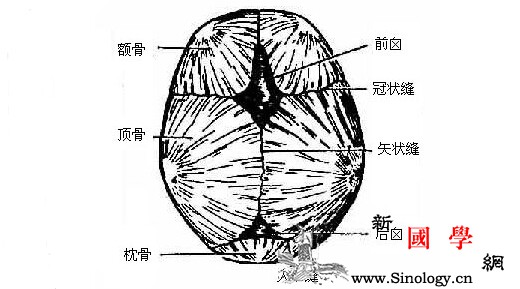 孩子囟门什么时候闭合？（清洗小贴士）_顶骨-囟门-凸出-什么时候-