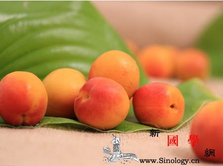 秋季宝宝鼻炎吃什么水果好_胡萝卜素-鼻炎-富含-吃什么-