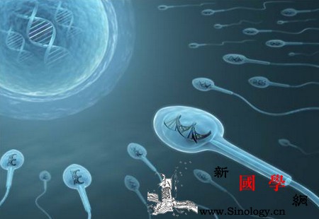 多精入卵是怎么回事？精子活力太强也会难孕？_受精卵-卵子-受精-双生-怀孕准备