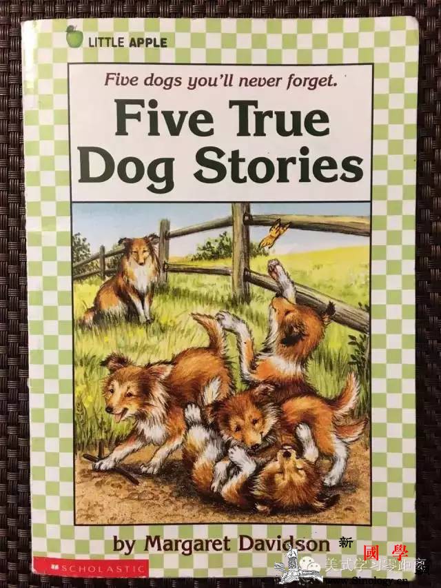 两个法宝让您孩子像美国孩子一样学英语！_拼读-孩子们-美国-单词-