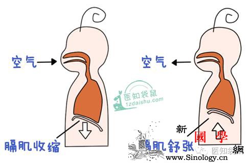 让宝宝1分钟停止打嗝的妙招！你会吗?_打嗝-穴位-腹部-家长-