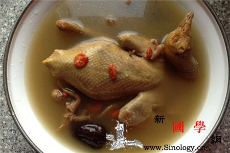 鸽子汤下奶吗_丝瓜络-丝瓜-杏仁-蛋白质-