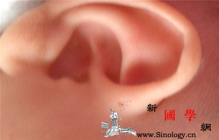 耳前瘘管要做手术吗耳朵旁的小洞不是福而是祸_瘘管-耳廓-分泌物-耳朵-