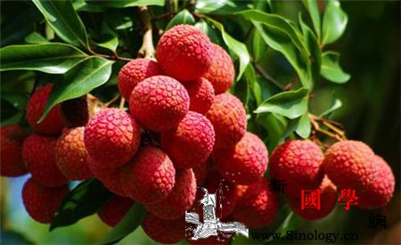 荔枝含有酒精吗一颗荔枝酒驾三颗荔枝醉驾！_抽血-荔枝-测试仪-酒精-