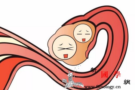 当女性排卵的时候会发出什么信号？_卵泡-会有-白带-排卵-怀孕准备