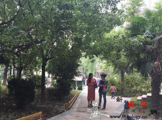 西安小区母子坠亡是什么原因让平时和睦的一家_坠楼-西安-事发-母子-