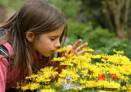 让孩子阅读经典有什么用？能为孩子打好精神的底_红珊瑚-儿童文学-冰心-精神-