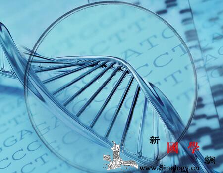 小儿夜盲症是什么原因引起的夜盲症的三种病因_视紫红质-杆状-夜盲症-夜盲-