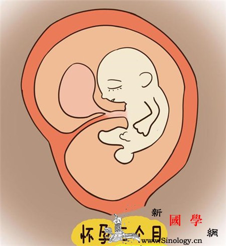 胎儿这一时期是危险高发期孕妈妈一定要了解！_羊水-胎儿-长出-食物-