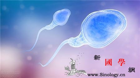 正常的精子是什么味道精子居然是这种味道_土色-黏稠-精液-精子-两性知识