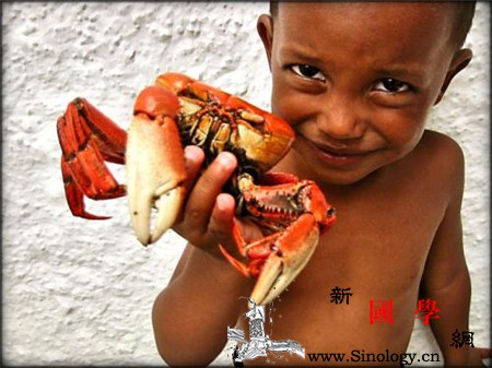 小孩子多大能吃螃蟹哪些人不能吃螃蟹_蟹肉-螃蟹-食用-宝宝-