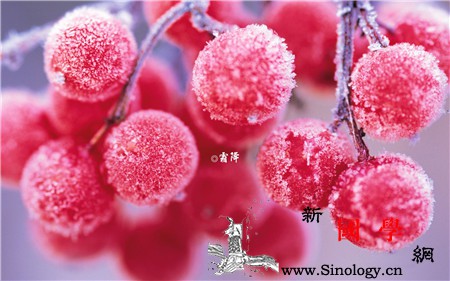 霜降小孩可以吃柿子吗柿子不能与哪些食物同食_祛痰-霜降-润肺-柿子-