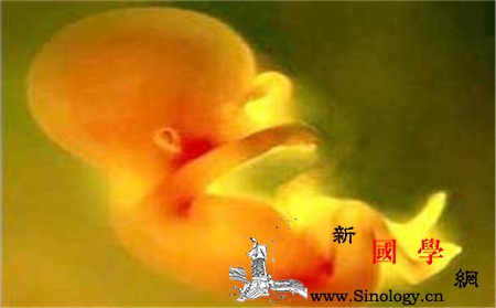 怀孕22周羊水多少正常_羊水-脐带-胎盘-妊娠-