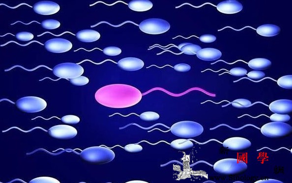 卵子在体内可以存活多久？有哪些征兆是排卵迹象_卵子-排卵-精子-存活-怀孕准备