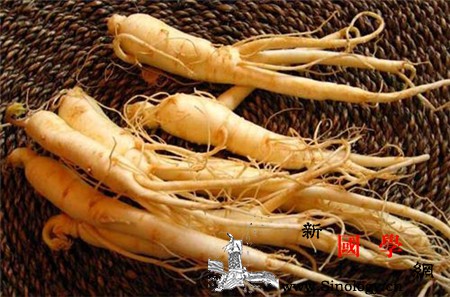 人参怎么吃壮阳效果最好人参这么吃一周就能硬_野山参-然后再-适量-壮阳-两性知识