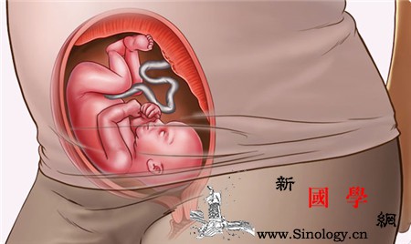 怀孕24周是几个月_羊膜-羊水-预产期-孕期-