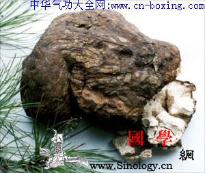 茯苓_菌核-茯苓-甲基-细胞-