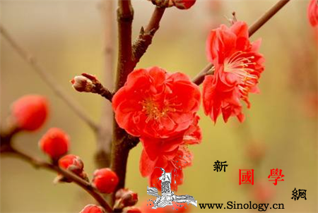 清明节前后搬家可以吗_寒食节-公历-扫墓-清明节-