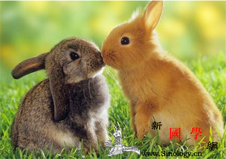 2017属兔忌讳什么颜色_忌讳-生肖-红色-颜色-