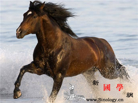 属马的2017年禁忌颜色_床位-禁忌-运势-风水-