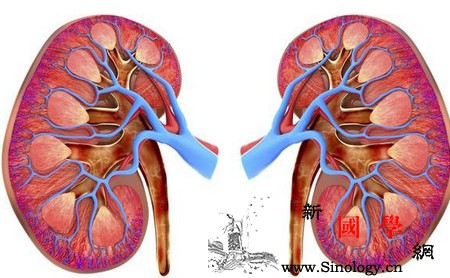 身体出现这几个症状说明你要补肾了！看你中了_肾虚-肾亏-精血-劳损-两性知识