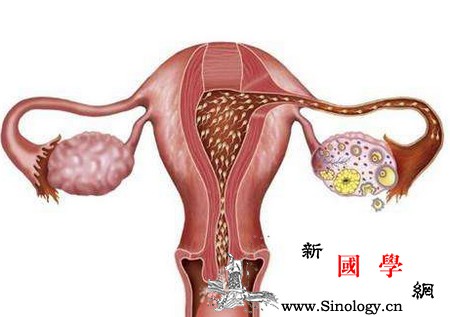你是卵巢低反应的高危人群吗？_卵泡-试管婴儿-卵巢-数目-怀孕准备