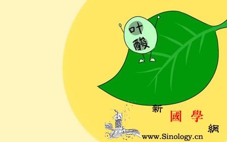 天了噜南北方吃叶酸居然不能一样多孕妈千万_淘米-叶酸-胎儿-需求量-