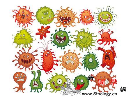 八角的功效与作用_茴香油-茴香-白细胞-杆菌-