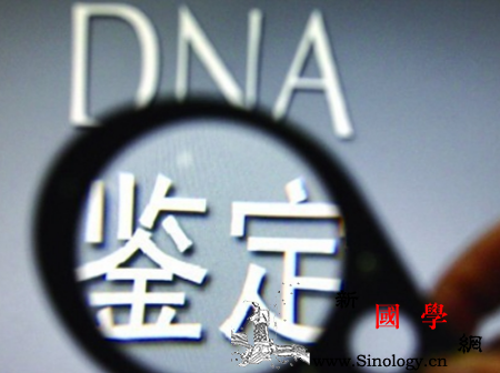 怀孕8周可以做亲子鉴定吗_羊水-绒毛-抽取-胎儿-