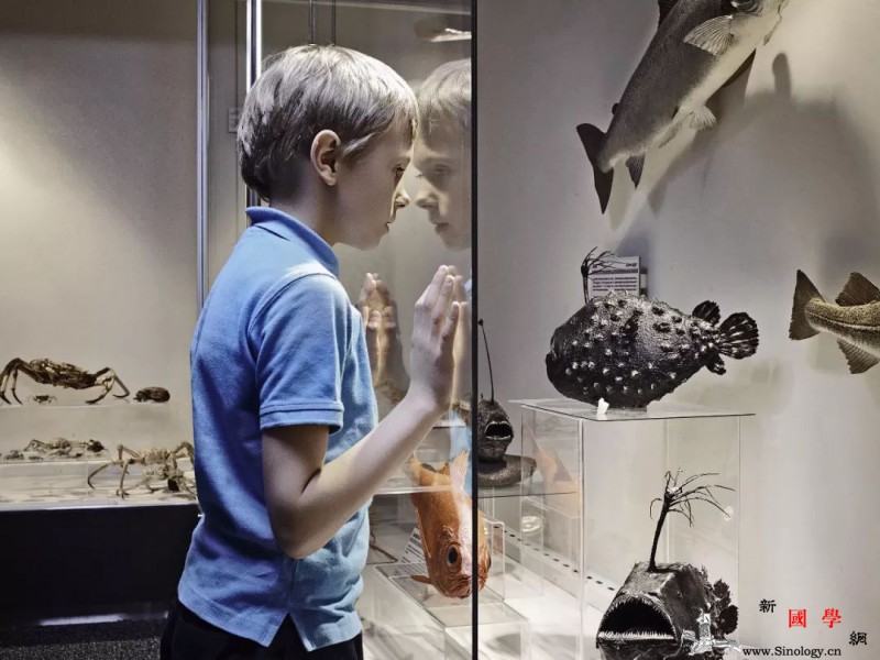 寒假里如何培养一个小学霸？孩子放寒假后应当注_寒假-假期-孩子-时间-