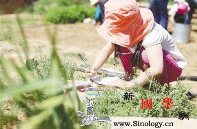 大自然是孩子最好的老师不要错过了！_自己的-感受-孩子-最好的-