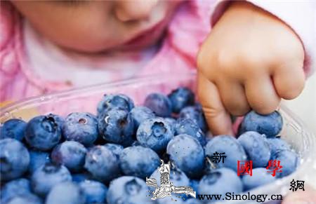宝宝可以吃蓝莓吗蓝莓营养丰富宝宝怎么吃最好_花青-果核-白霜-蓝莓-