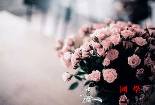 父母朋友圈很low？你该反思自己了_旅舍-朋友圈-父母-妈妈-