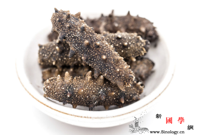 儿童可以吃海参吗_进补-脾胃-海参-适量-