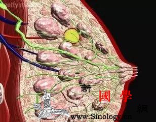 哺乳妈妈看过来？断奶后为什么一定要排残乳？_乳汁-乳头-乳腺-黑水-