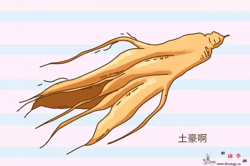 月子期间原本想大补结果大奶牛变成了小溪流_奶水-口粮-吃了-月子-