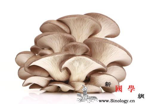 孩子考试吃什么好这些食物抗疲劳_甜菜-生姜-蘑菇-吃什么-