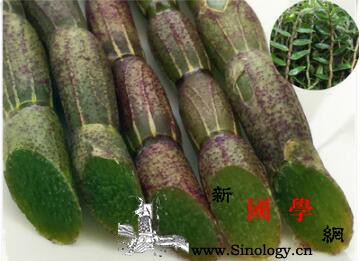 孩子可以吃铁皮石斛吗_石斛-肿痛-铁皮-服用-