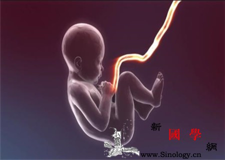 脐带血真的可以救自己吗脐带血有必要保存吗_脐带-杭州-北京-协和-