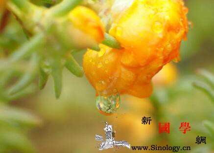 2018年处暑之后天气还热吗_普渡-处暑-暑气-华南-