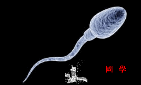 教你几招科学提高精子质量！_精子-充足-男性-质量-怀孕准备