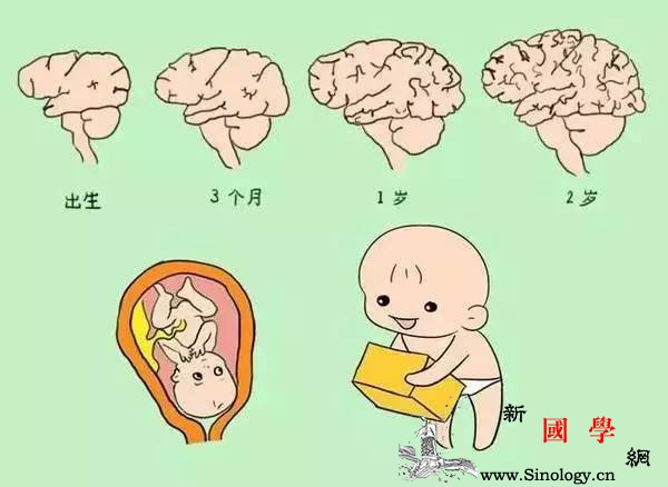 如何抓住儿童大脑发育的关键时期让孩子头脑更_头脑-宝宝-卵磷脂-个月-