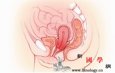 子宫脱垂都有哪些症状？产后子宫脱垂怎么办？_腰酸背痛-阴道-子宫-阿兰-