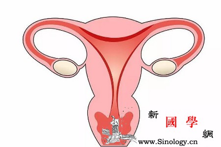 一侧输卵管通畅还能怀孕吗？_宫外孕-输卵管-排卵-同房-怀孕准备