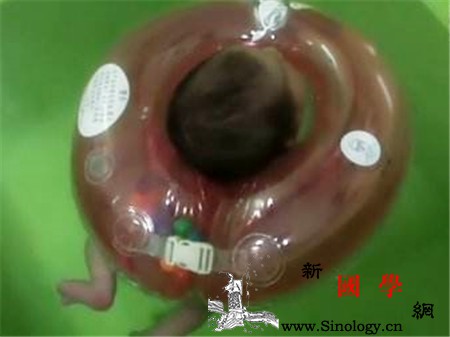 秋冬季节宝宝游泳注意事项有哪些好处有哪些？_运动量-秋冬-注意事项-游泳-