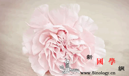 二胎备孕前这些检查一定要做_抗体-产妇-流产-检查-孕前检查