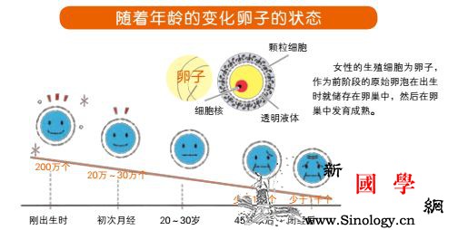 悄悄告诉你几个保持卵巢和卵子年轻化的方法！_卵泡-卵子-年轻化-卵巢-怀孕准备