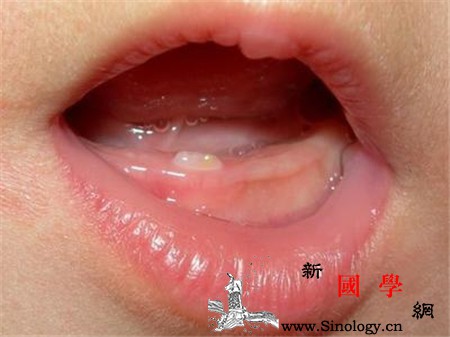 宝宝一颗牙齿要长多久才会完整长出来呢_长牙-臼齿-尖牙-牙齿-