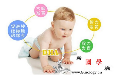 孕期只补叶酸还不够这个让宝宝更聪明的东西一_坚果-胎儿-叶酸-脂肪酸-